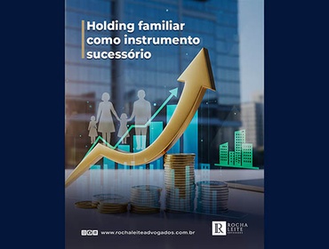 Holding familiar como instrumento sucessório
